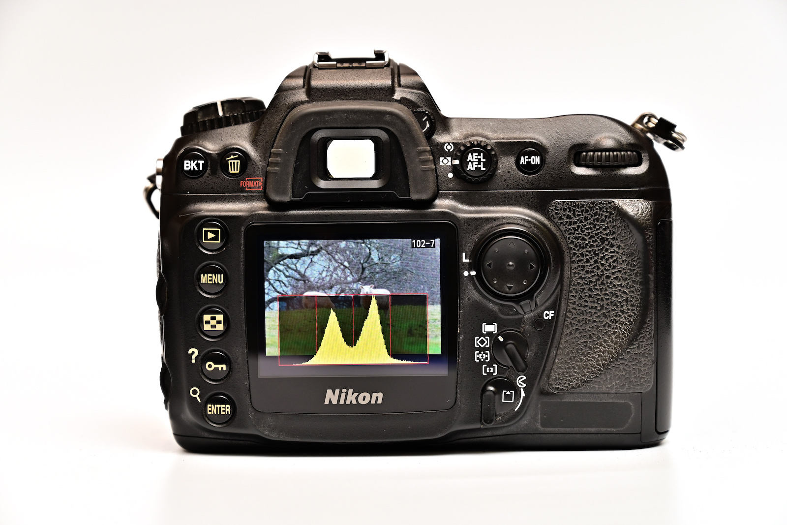 Nikon D1X rear