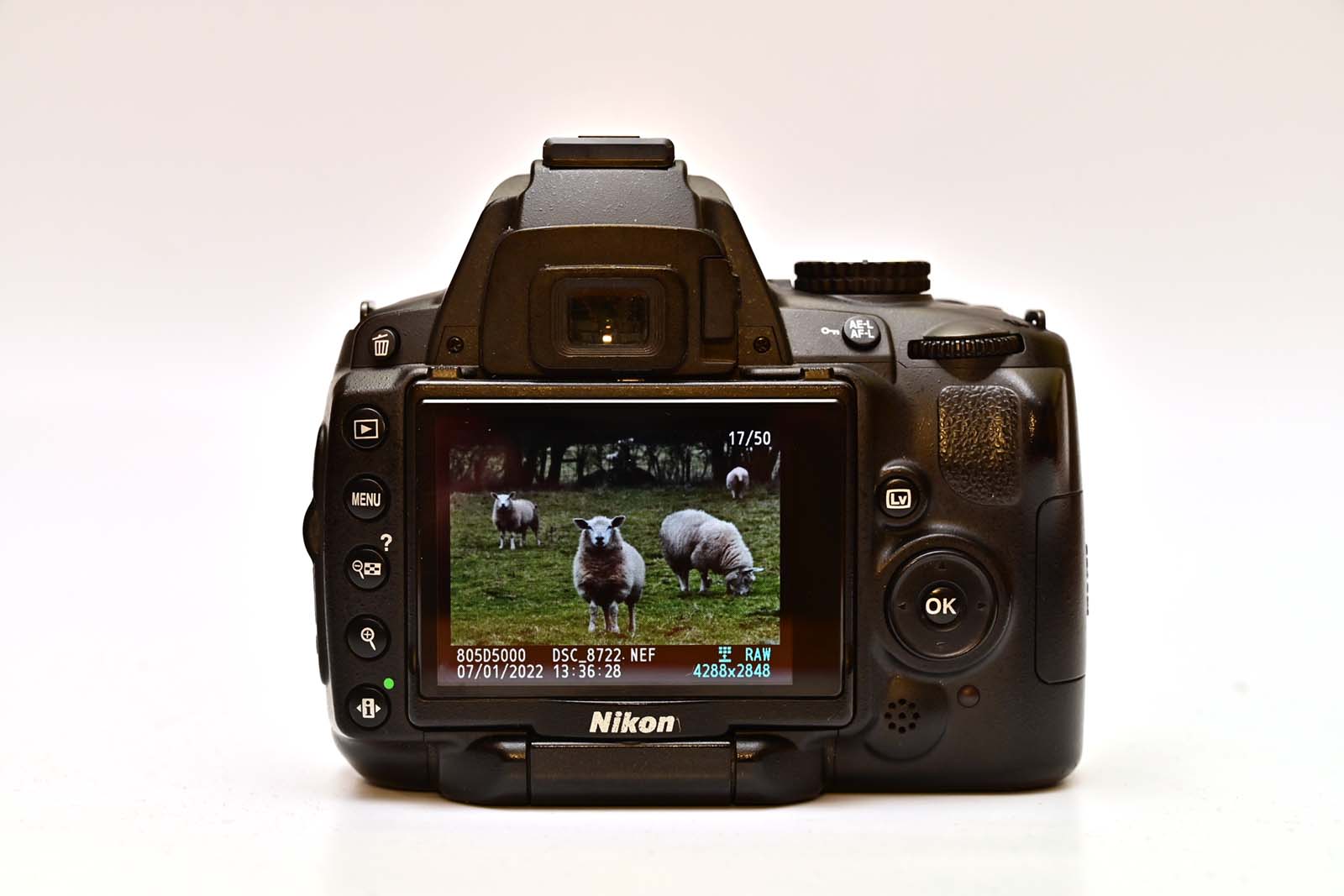 Nikon D5000 rear