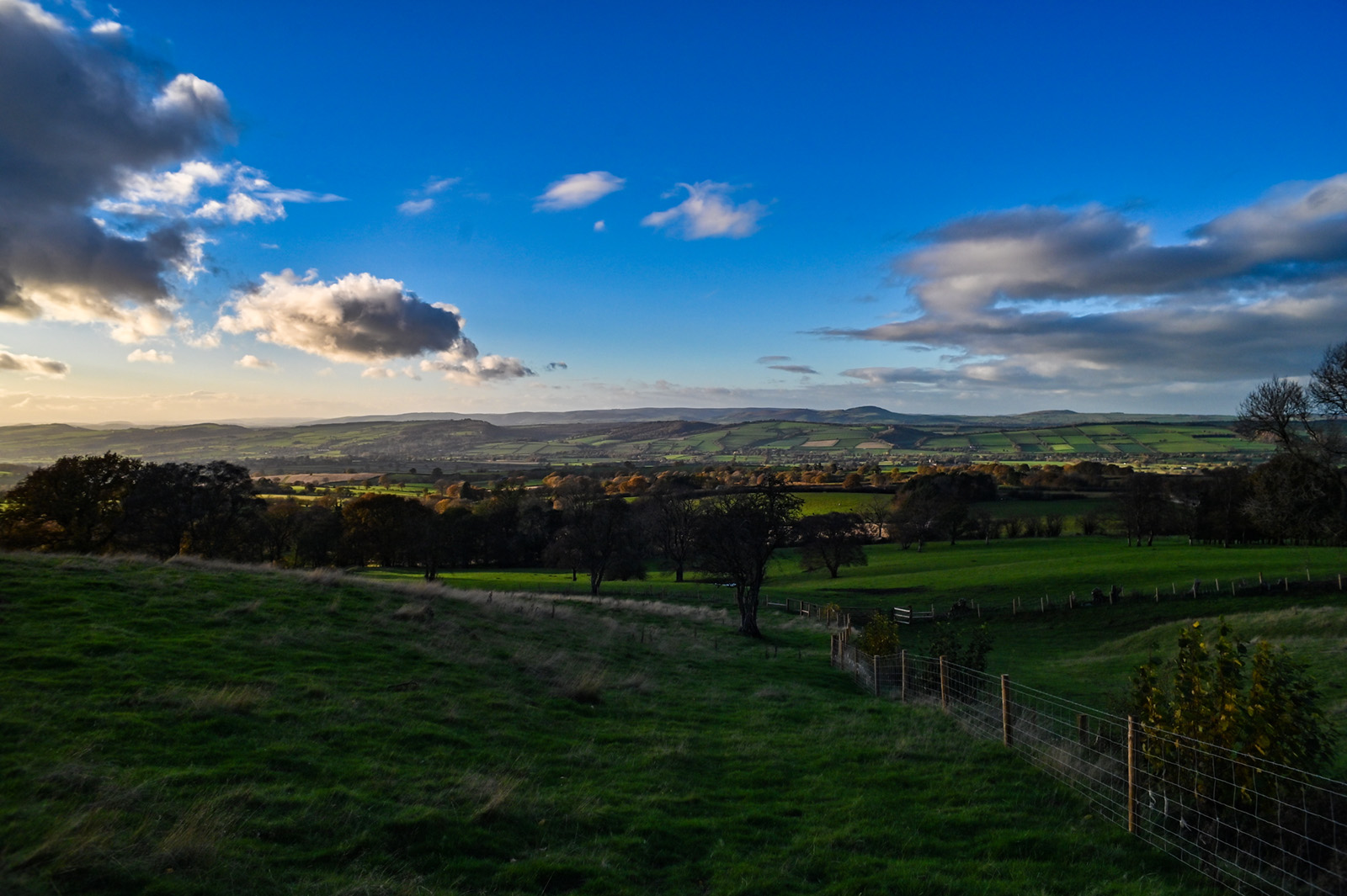 Shot with Vivitar 28mm f/2.8 Auto Wide-Angle