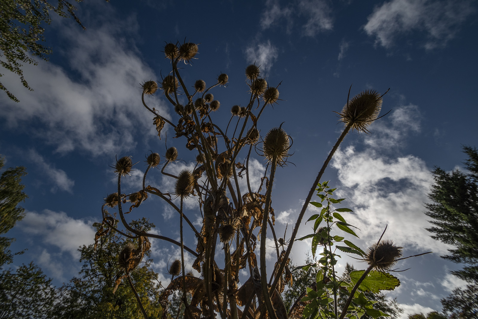 Shot with Tamron SP 10-24mm Di II