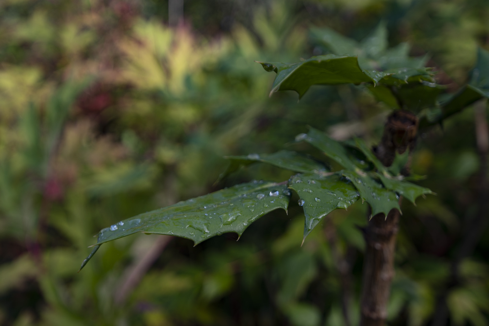 Shot with Tamron SP 10-24mm Di II