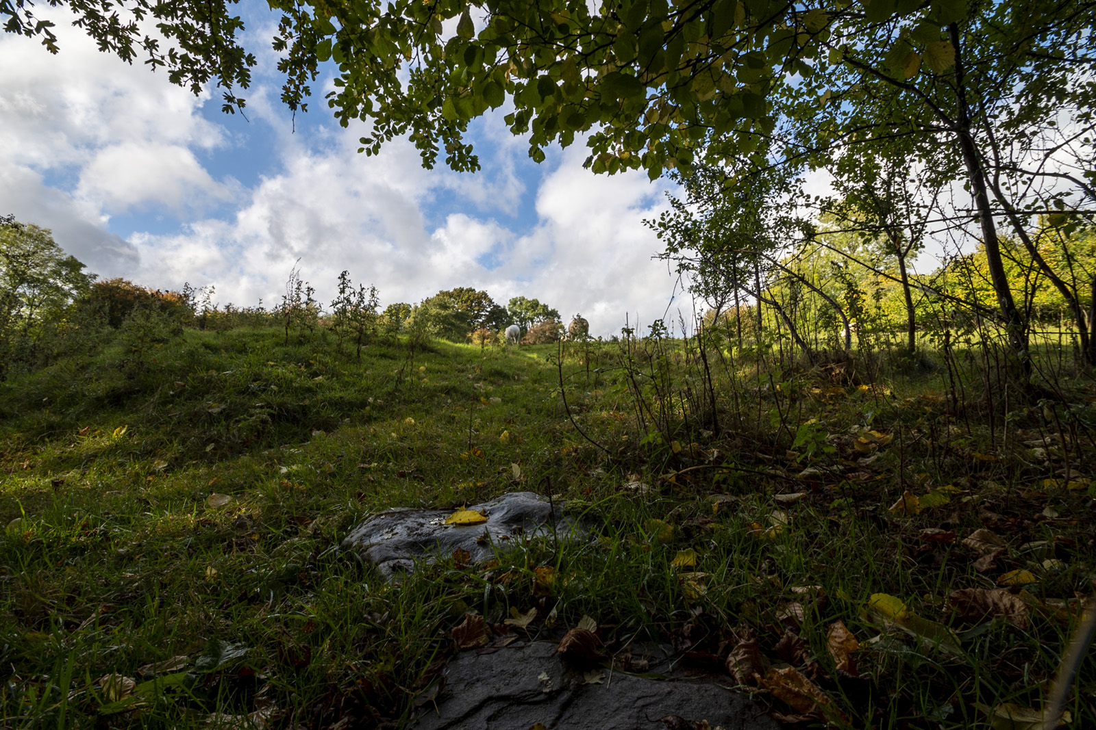 Shot with Tamron SP 10-24mm Di II
