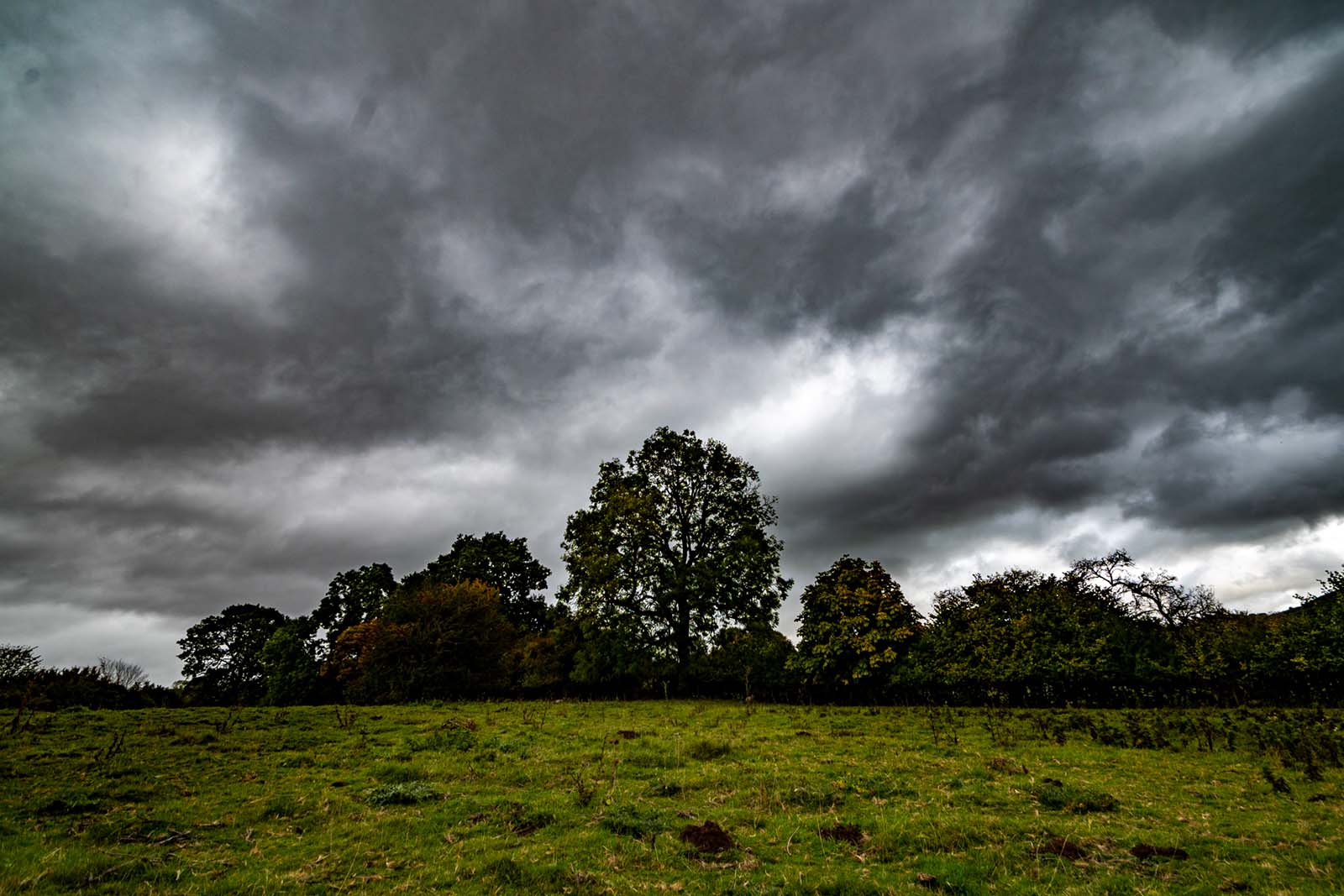 Shot with Tamron SP 10-24mm Di II